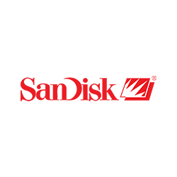 SanDisk Data Recovery in Saudi Arabia