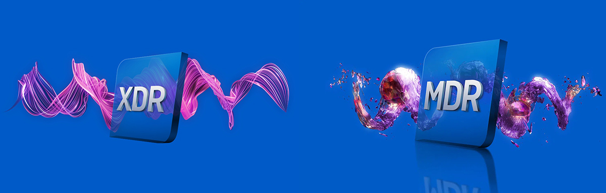 Sophos Endpoint Security Solutions in Saudi Arabia